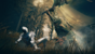ELDEN RING Shadow of the Erdtree (Collector Edition) thumbnail-6