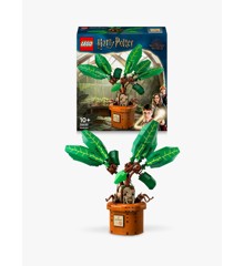 LEGO Harry Potter - Mandragora (76433)