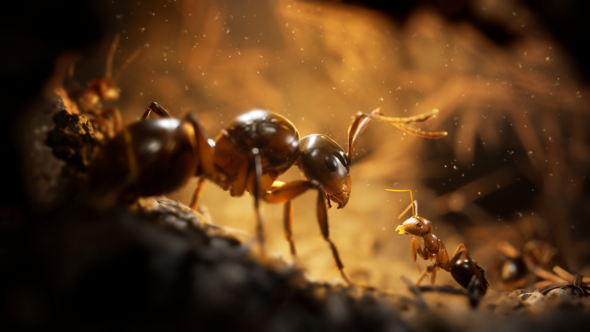 Empire of the Ants