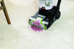 Bissell - PowerWash Pet thumbnail-10