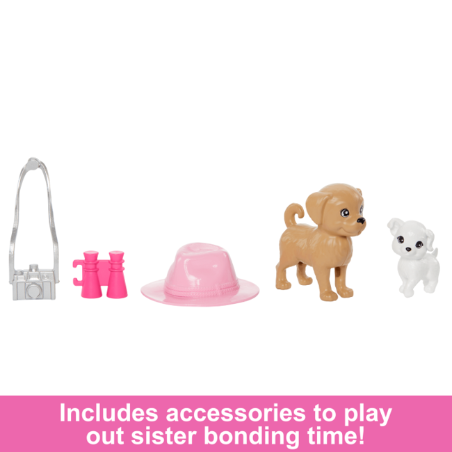 Barbie - Stacie & Barbie Doll Set With 2 Pets (HRM09)