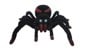 Lexibook - Realistic RC tarantula with light effects (SPIDER01) thumbnail-4