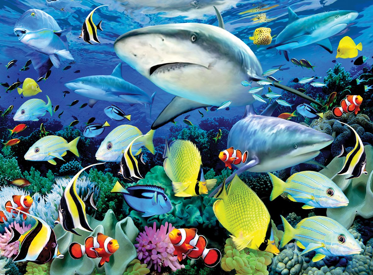 Royal&Langnickel - Paint by Numbers Reef Shark (304105) - Leker