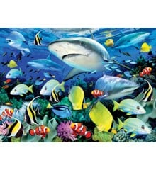 Royal & Langnickel - Paint by Numbers Reef Shark (304105)
