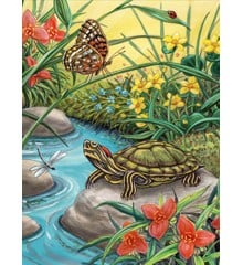 Royal & Langnickel - Paint by Numbers Turtle (304112)
