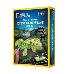 National Geographic - Gecko Dissection Lab (29-2451)