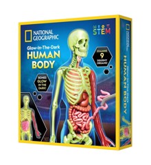 National Geographic - Human Body Science Kit (29-2454)