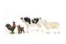 Schleich - Farm World - Farm Starter Set (42729) thumbnail-3