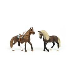 Schleich - Horse Club - Paso Peruano Starter Set (42738)