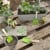 Gardenlife - Children garden tools set/3 green (KG106) thumbnail-3