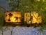 BOX CANDIY - Night Light Jars - Totally Twilight Rainforest - (BC-1940) thumbnail-12