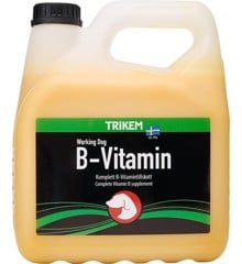 TRIKEM - B-Vitamin 3L - (721.2023)