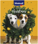 Vitakraft - Christmas calender for dogs