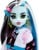 Monster High – Core Doll with Pet - Frankie (HXH73) thumbnail-3