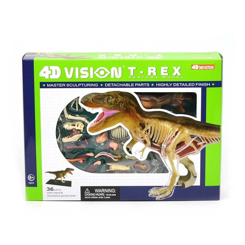 Robetoy - Animal Anatomy - Dinosaur T-Rex (38 cm) (26075) - Leker