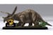 Revell - 3D Puslespil Jurrassic World - Triceratops thumbnail-3