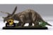 Revell - 3D Puzzle Jurrassic World - Triceratops (600242) thumbnail-3