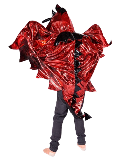 Den Goda Fen - Dragon Costume w. Wings (104-128 cm) (F97830) - Leker