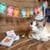 Happy Birthday Cat Tin thumbnail-3