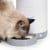 CATIT - Catiti Pixi Vision Smart Feeder - (785.0338) thumbnail-4