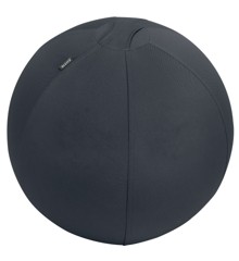 Leitz - Ergo Balance ball anti-roll-away 55cm - Dark grey
