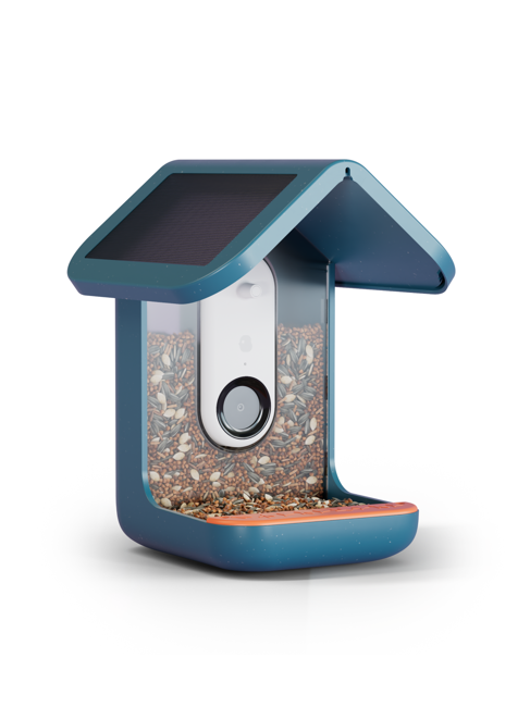 BirdBuddy - Smart Bird Feeder Blå med  Solceller