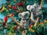 Ravensburger - Puzzle Koalas In A Tree 500p (12000206) thumbnail-3