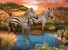 Ravensburger - Puzzle Zebras In Sunset 500p (12000365) thumbnail-2