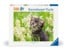 Ravensburger - Puslespil Kitten In The Meadow 500 brikker thumbnail-1