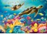 Ravensburger - Puzzle Blue Underwater World 1000p (12000577) thumbnail-2