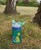 Contigo - Gizmo Flip Kids Drikkedunk 420ml - Jungle Green Dino thumbnail-3