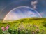 Ravensburger - Puslespil Rainbowscape 1500 brikker thumbnail-3