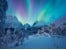 Ravensburger - Puzzle The Arctic Show 1500p (12000802) thumbnail-3