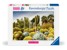 Ravensburger - Puzzle Huntington Desert Garden 1000p (12000850) thumbnail-1