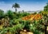 Ravensburger - Puzzle Botanical Garden Madeira 1000p (12000853) thumbnail-2