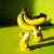 DONKEY - Banana Romance Salt & Pepper Set thumbnail-6