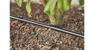 Micro-Drip-Irrigation Hedge/Bush Set (25 m) 13500-20 thumbnail-4