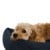 Fossflakes - PetBed Medium 70x90 Navy Pinstripe - (PET-BED-070-090-103) thumbnail-7