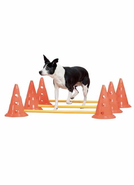 PAWISE - Agility Training Set 30Cm - (636.9010)