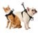 Insta360 - GO 3/GO 3S Pet Harness Mount Size S thumbnail-6