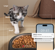 PetLibro - Automatic Cat Black Feeder with Camera thumbnail-2