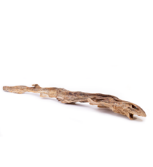 Snack'it - Dog snack Dried Shark 1 piece 40-50cm  - (01-885)