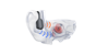 Shokz - OpenRun Pro2 Mini, Sort - Bone Conduction Headset thumbnail-24