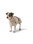 Hunter - Dogcoat Nordby 45, cream - (203413)