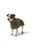 Hunter - Dogcoat Nordby 25, olive - (203431) thumbnail-1