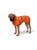 Hunter - Dogcoat Nordby 30, orange - (203419) thumbnail-1