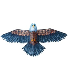 3D Eagle Kite