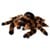 Giant Tarantula thumbnail-1