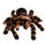 Giant Tarantula thumbnail-5