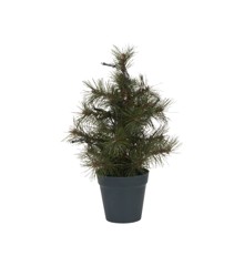 House Doctor - Christmas tree w. LED, HDPinus - Nature - 10 LED lights - h: 30 cm